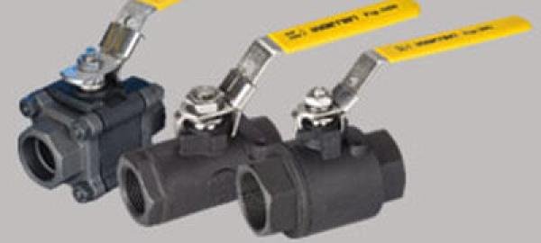 Carbon Steel Valves in Taiwan
