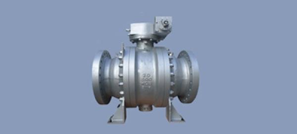 Trunnion Ball Valves in Tanzania